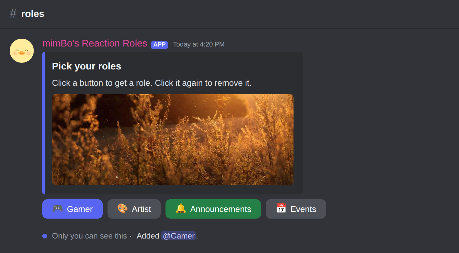 A reaction role panel in Discord